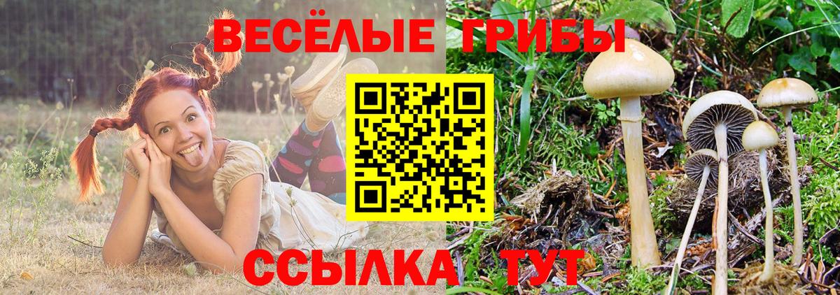 Псилоцибиновые грибы прущие грибы  Псилоцибиновые грибы MAGIC MUSHROOMS  Вход с VPN  Курчатов 