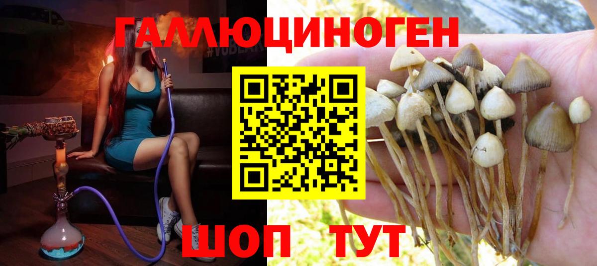 Галлюциногенные грибы ЛСД Курчатов